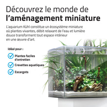 Load image into Gallery viewer, Aquarium équipé Fluval Kühl pour l’aménagement miniature et aquaponie, 8 L (2,1 gal US), blanc