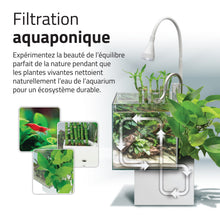 Load image into Gallery viewer, Aquarium équipé Fluval Kühl pour l’aménagement miniature et aquaponie, 8 L (2,1 gal US), blanc