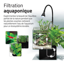 Load image into Gallery viewer, Aquarium équipé Fluval Kühl pour l’aménagement miniature et aquaponie, 8 L (2,1 gal US), noir