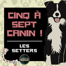 Load image into Gallery viewer, Frais d'inscription à un 5 à 7 - regroupement de race de chiens