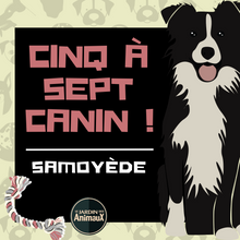 Load image into Gallery viewer, Frais d'inscription à un 5 à 7 - regroupement de race de chiens