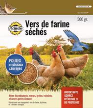 Load image into Gallery viewer, PICARDIE VERS DE FARINE 500GR
