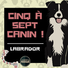 Load image into Gallery viewer, Frais d'inscription à un 5 à 7 - regroupement de race de chiens