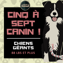 Load image into Gallery viewer, 5 à 7 - Frais d'inscription à un regroupement par tailles de chien