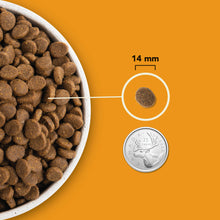 Load image into Gallery viewer, ACANA Chien Wild Prairie Haut en Protéines