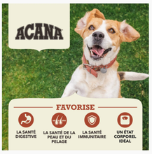 Load image into Gallery viewer, ACANA Chien Simple Recette De BŒUF Avec CITROUILLE