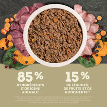 Load image into Gallery viewer, ACANA Chien Premium Pâté Canard 363 gr