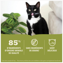 Load image into Gallery viewer, Conserve pour chat ACANA Premium Pâté, Recette À L'Agneau