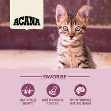 Load image into Gallery viewer, ACANA Chaton Premier festin
