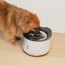 Load image into Gallery viewer, Abreuvoir Zeus Oasis - Gris pâle