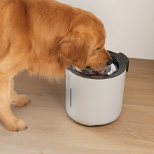 Load image into Gallery viewer, Abreuvoir Zeus Oasis - Gris pâle