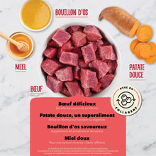 Load image into Gallery viewer, Fromm Dog Treat - Crunchy Bones Blueberry Blasts Flavor