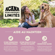 Load image into Gallery viewer, ACANA Chien Simple Recette D'Agneau Avec Pomme