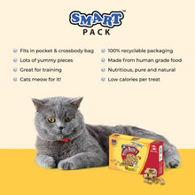 Load image into Gallery viewer, Benny Bully's Gâteries pour chat - Smart Packs Mini - Foie de boeuf 23 gr