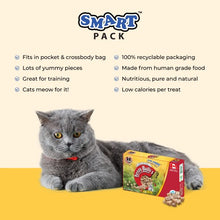 Load image into Gallery viewer, Benny Bully's Gâteries pour chat - Smart Packs Mini - Poitrine de poulet 18 gr
