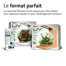 Load image into Gallery viewer, Cartouches filtrantes de polyester/charbon LIV Fluval - Paquet de 3