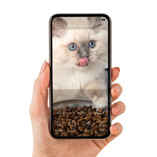 Load image into Gallery viewer, Distributeur intelligent Catit PIXI Vision