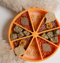 Load image into Gallery viewer, Dog's Crush -Bol ralentisseur pour chien - Orange