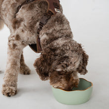 Load image into Gallery viewer, Dexypaws Bol en céramique pour chien 50 oz - Vert sauge