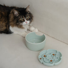 Load image into Gallery viewer, Dexypaws Bol surélevé en céramique pour chat 7.75 oz - Avec ralentisseur - Forme de fleur - Vert sauge