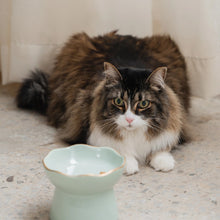 Load image into Gallery viewer, Dexypaws Bol surélevé en céramique pour chat 7.75 oz - Vert sauge