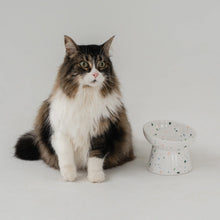Load image into Gallery viewer, Dexypaws Bol surélevé en céramique pour chat 8.8 oz - Terrazzo