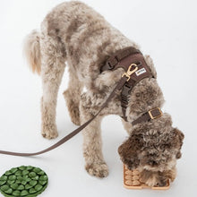 Load image into Gallery viewer, Dexypaws Collier imperméable pour chien, Espresso