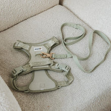 Load image into Gallery viewer, Dexypaws Harnais sans traction pour chien, Vert sauge