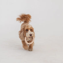 Load image into Gallery viewer, Dexypaws Jouet à mâcher ultra robustes pour chien - Duo anneau & forme géométrique, Beige & noir