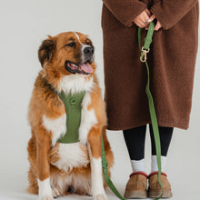 Load image into Gallery viewer, Dexypaws Laisse "Mains Libre" imperméable pour chien - Vert camouflage - 6 pieds