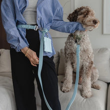 Load image into Gallery viewer, Dexypaws Laisse "Mains Libre" imperméable pour chien, Bleu ciel 6 pieds