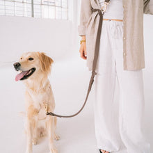 Load image into Gallery viewer, Dexypaws Laisse "Mains Libre" imperméable pour chien, Espresso 6 pieds