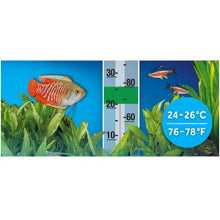 Load image into Gallery viewer, Chauffe-eau submersible P25, jusqu’à 25 L (6 gal US), 25 W