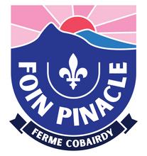 Load image into Gallery viewer, DMT grass hay