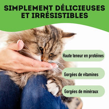 Load image into Gallery viewer, Granville Island - Gâteries de poulet lyophilisé pour chien et chat 50 gr