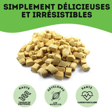 Load image into Gallery viewer, Granville Island - Gâteries de poulet lyophilisé pour chien et chat 50 gr