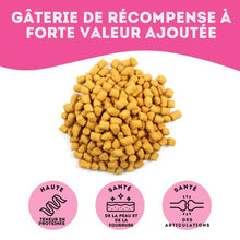 Load image into Gallery viewer, Granville Island - Gâteries de saumon lyophilisé pour chien et chat 50 gr