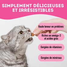 Load image into Gallery viewer, Granville Island - Gâteries de saumon lyophilisé pour chien et chat 50 gr