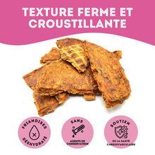 Load image into Gallery viewer, Granville Island - Gâteries de saumon sauvage déshydraté pour chien et chat 85 gr