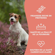 Load image into Gallery viewer, Granville Island - Gâteries de thon lyophilisé pour chien et chat 30 gr