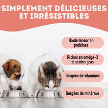 Load image into Gallery viewer, Granville Island - Gâteries de thon lyophilisé pour chien et chat 30 gr