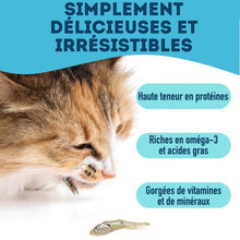 Load image into Gallery viewer, Granville Island - Gâteries de sardines déshydratées pour chien et chat