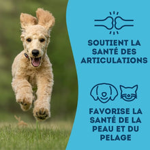 Load image into Gallery viewer, Granville Island - Gâteries de sardines déshydratées pour chien et chat