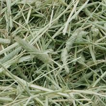 Load image into Gallery viewer, DMT grass hay