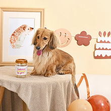 Load image into Gallery viewer, Hugsmart "Yappy Birthday" Jouet en caoutchouc & tissu craquant pour chien - Café d'anniversaire - Brun