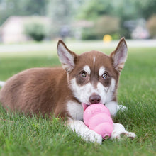 Load image into Gallery viewer, Kong Puppy Jouet pour chiots - Couleur aléatoire (Rose ou bleu)