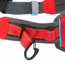 Load image into Gallery viewer, Kurgo Ceinture d'excursion / de coureur "On-Trail" ajustable, Rouge et bleu