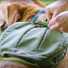 Load image into Gallery viewer, Kurgo Harnais "Cascade", Orange