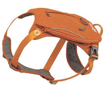 Load image into Gallery viewer, Kurgo Harnais "Cascade", Orange