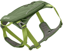 Load image into Gallery viewer, Kurgo Harnais "Cascade", Vert